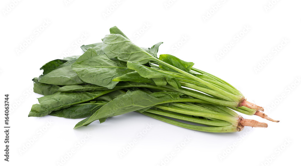 fresh spinach on white background fresh spinach on white background