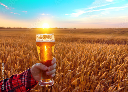 Glass of cold beer at sunset on the background of wheat field and blue sky. Summer landscape. Recreation and relax. Fresh brewed ale.