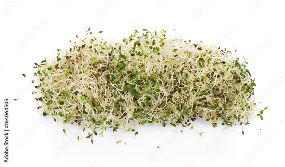 heap of alfalfa sprouts on white background heap of alfalfa sprouts on white background