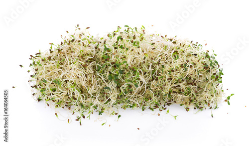 heap of alfalfa sprouts on white background