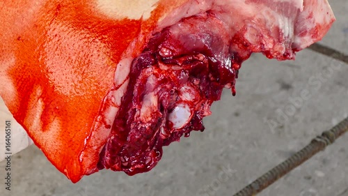 Blood drips from a severed fresh pork ham. Drops of blood fall from the hanging pieces of meat. Visible are fat, bone, layers of meat, pork skin