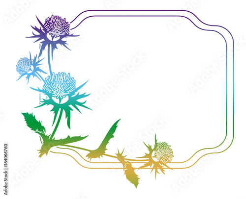 Decorative gradient frame with thistle silhouette. Raster clip art.