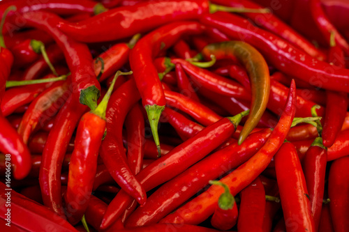 Pile of fresh red chilli peppers