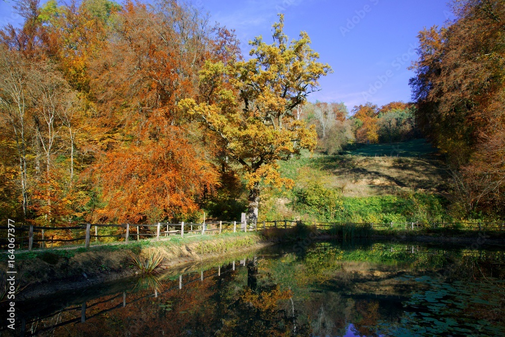 The Central Lake of the Ermitage Arlesheim with autumn colors