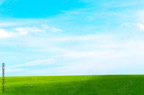 Green field against the blue sky