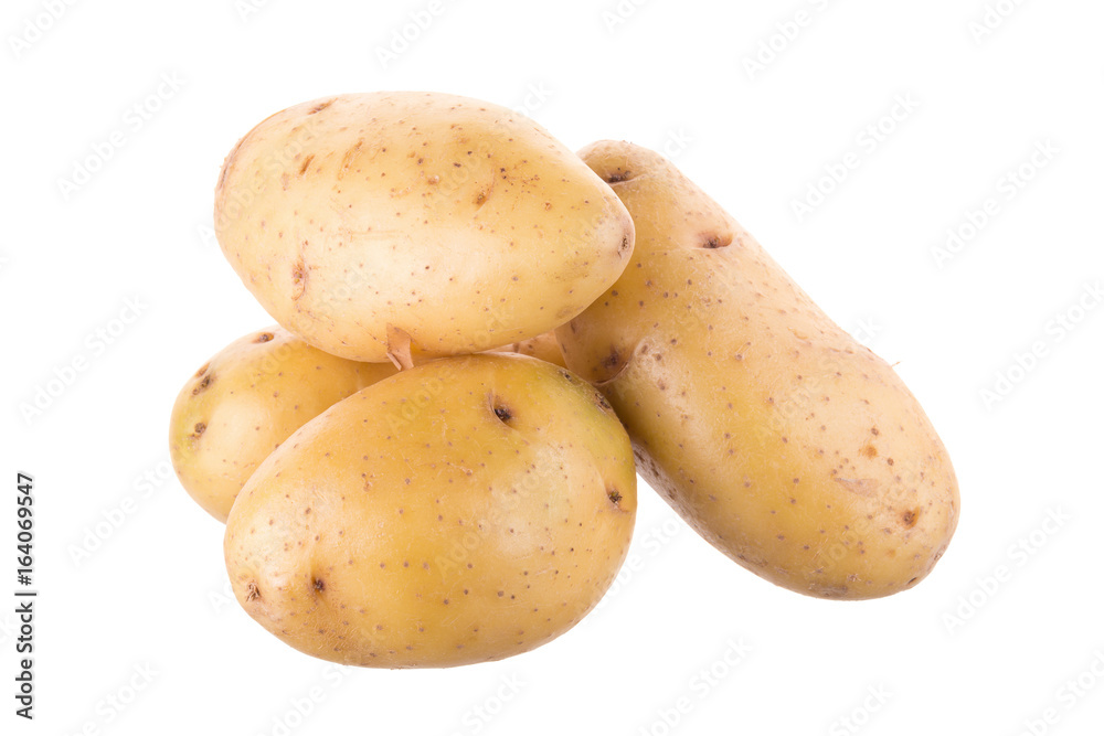 Ripe golden potato on white background. Vegetarian food. French fries or mashed potato ingredient Ripe golden potato on white background. Vegetarian food. French fries or mashed potato ingredient