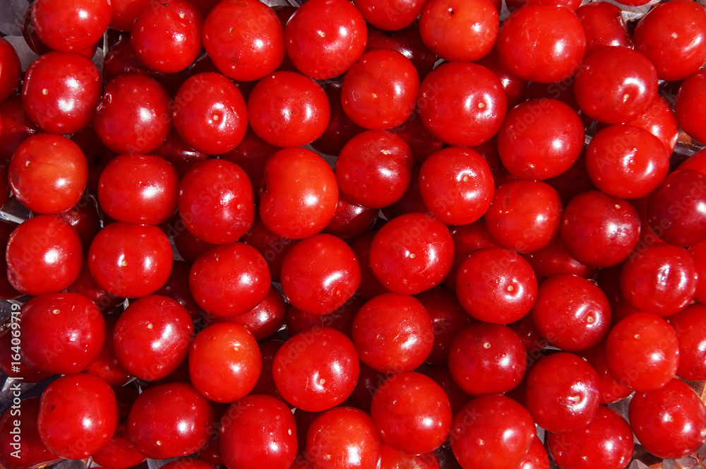 bunch of ripe juicy red cherries . cherry background bunch of ripe juicy red cherries . cherry background