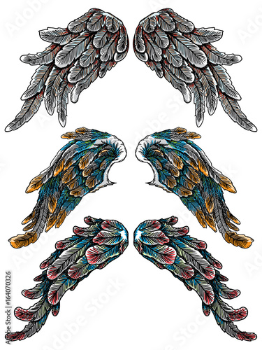 Set of colourful bird wings of different shape in open position isolated on white background. Colorful angel wings hand drawing sketch. Hipster tattoo or vintage body art concept. Vector.