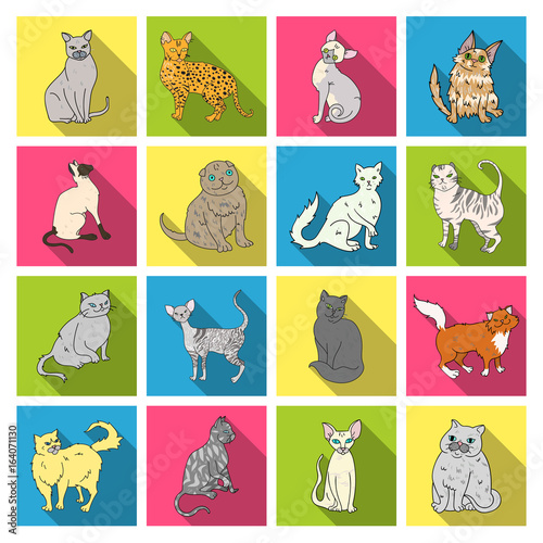 Cat breeds set icons in flat style. Big collection of cat breeds vector symbol stock illustration