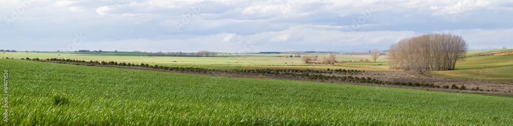 Paisaje panoramico con cultivos agrícolas , pueblo y arboledas Paisaje panoramico con cultivos agrícolas , pueblo y arboledas