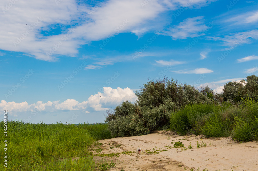 Obraz premium Sea landscape. Terrain on the coast of the Azov Sea in the Rostov region