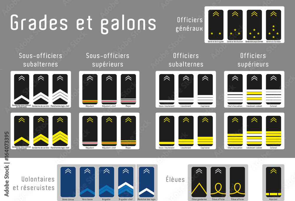 grades, galons et titres de la gendarmerie nationale de France Stock Vector  | Adobe Stock
