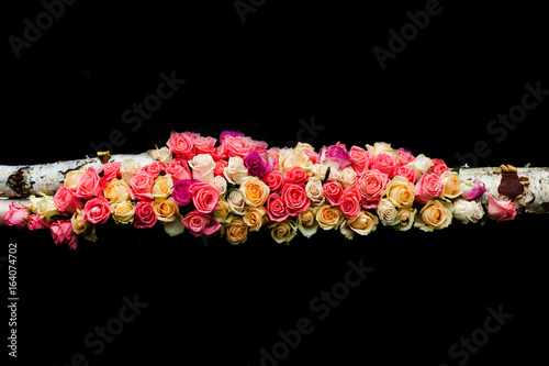 pink and beige roses border