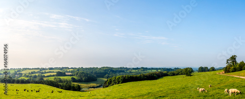 Panoramic Picture of the South Somerset Countryside photo