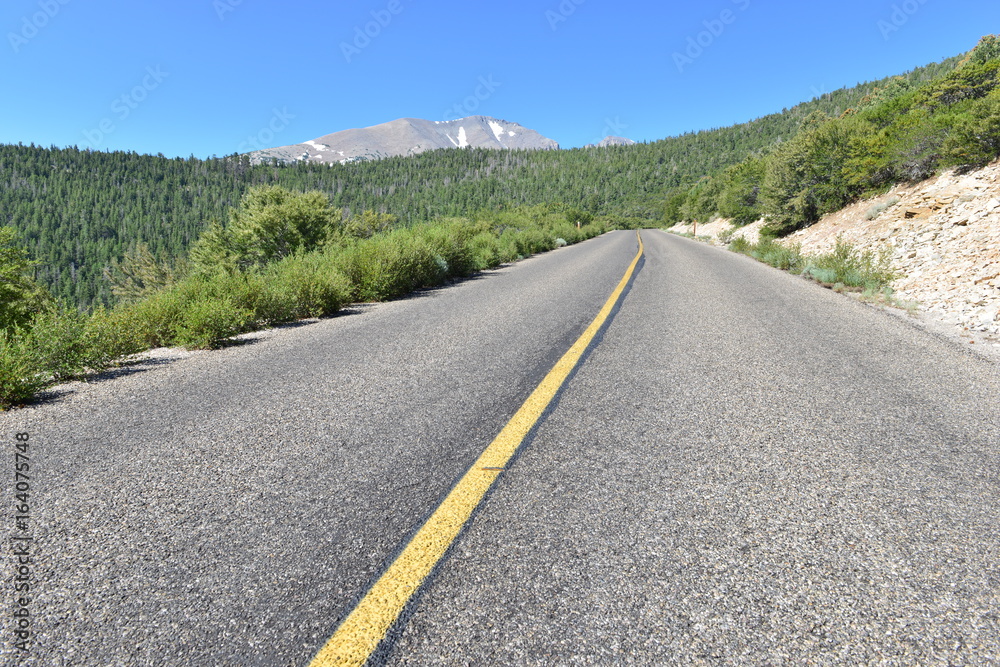 Fototapeta premium The Great Basin National park in Nevada. 