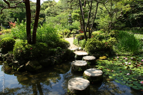 Stepping stones in a japanese garden