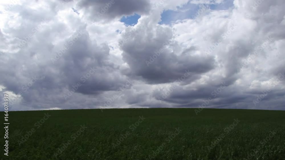 Time lapse of clouds over a field at countryside. Green field of lucerne. Time lapse of clouds over a field at countryside. Green field of lucerne.
