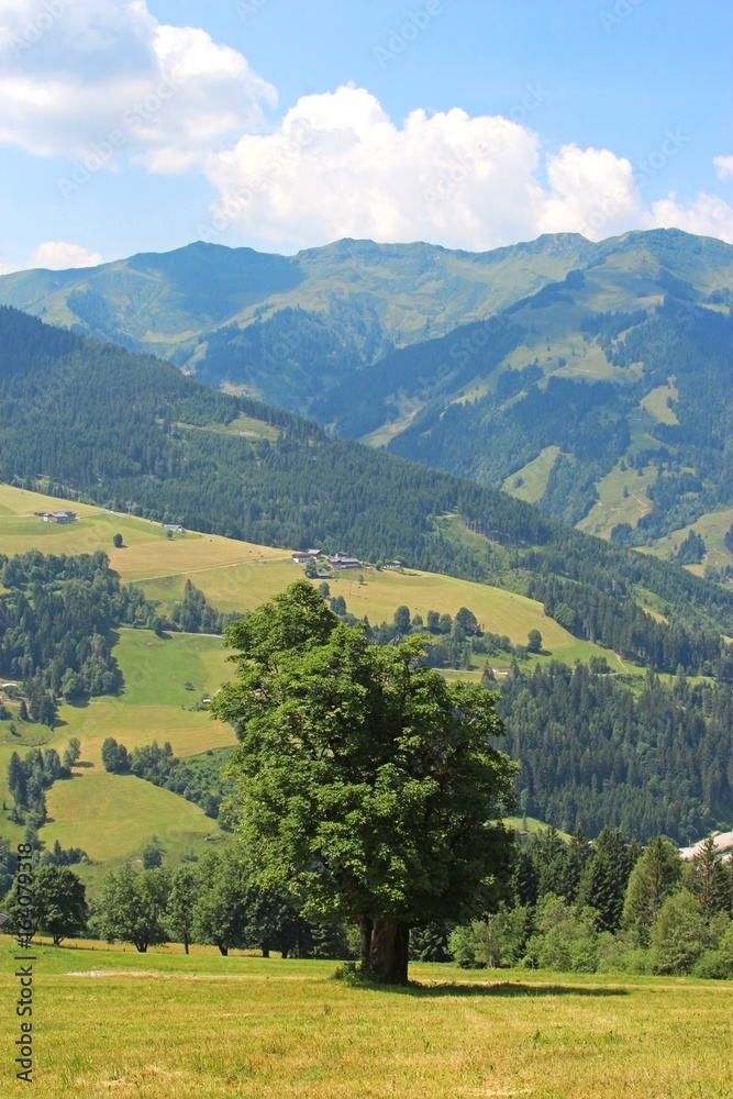 mountains near Salzburg, summer landscape