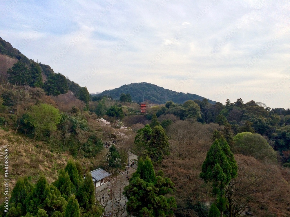 Afternoon view from Kiyomizu Dera temple (UNESCO World Heritage Site) in Kyoto, Japan (Asia) during spring time: Green and brown trees and landscape, red pagoda / shrine and mountains