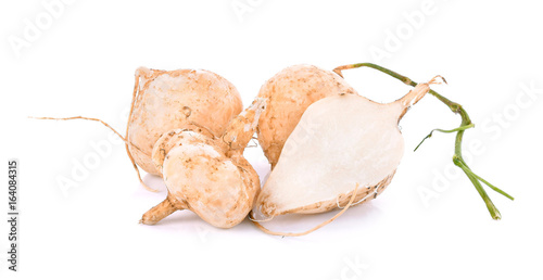 jicama isolated on white background