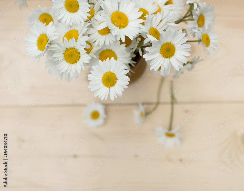 Obraz premium Bunch of chamomile flowers