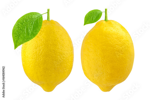 One Whole Lemon isolated on white