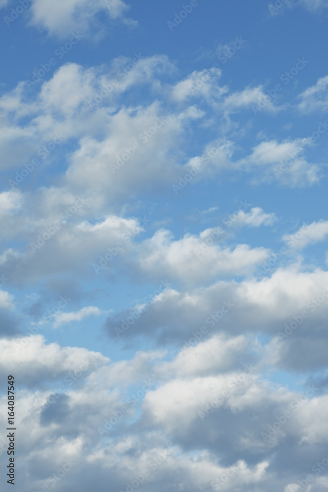 White Clouds White Clouds