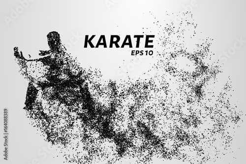 Karate of particles. Karate consists of small circles.