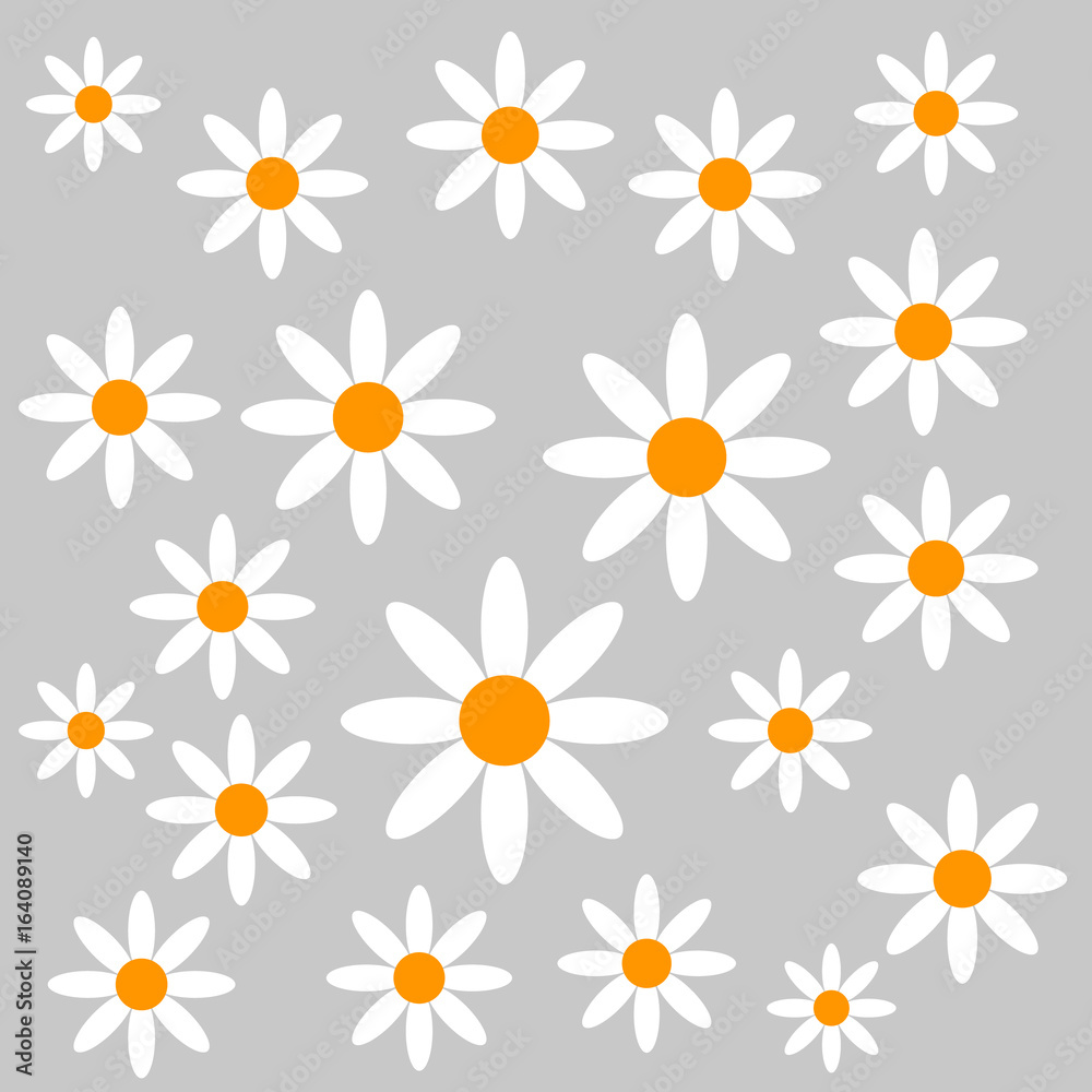 Chamomiles on grey background. Chamomiles on grey background.