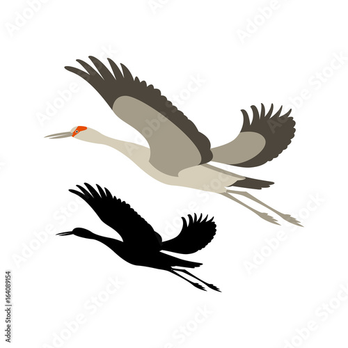 crane bird vector illustration black silhouette flat style
