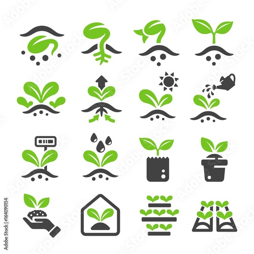 sprout icon