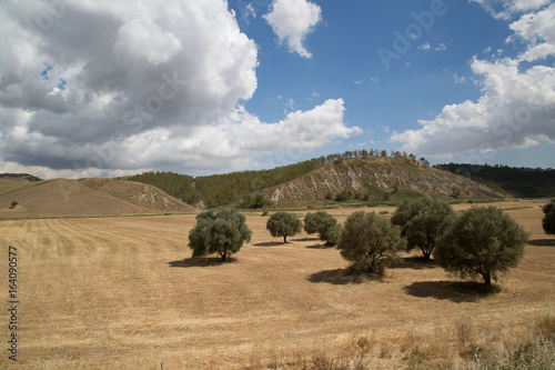 Sicilian landscape in the area of Caltanissetta, farmland, spring photo