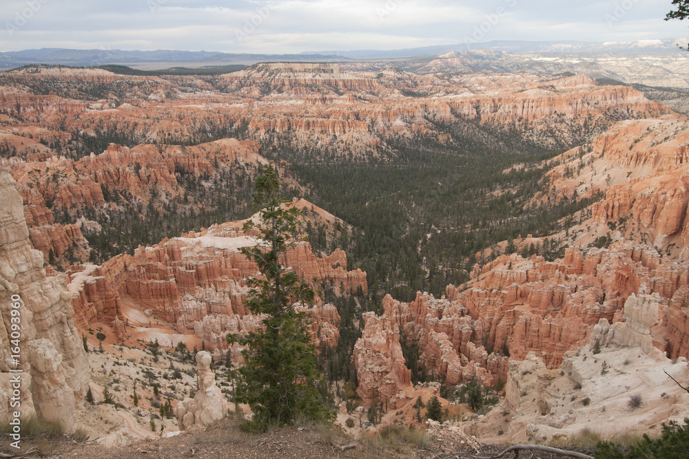 Bryce Canyon National Park, Utah, USA.