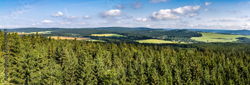 Panoramic shot of summer landscape