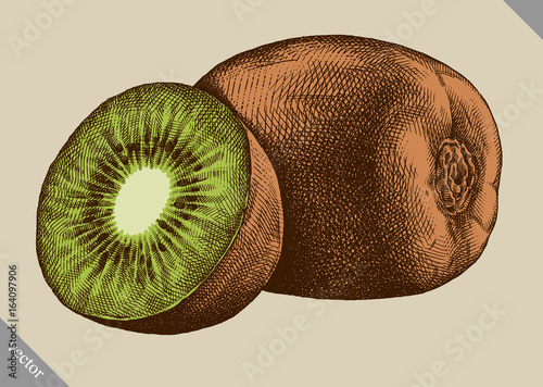Engrave isolated kiwi hand drawn graphic vector illustration