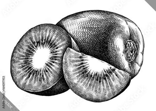 Engrave isolated kiwi hand drawn graphic vector illustration