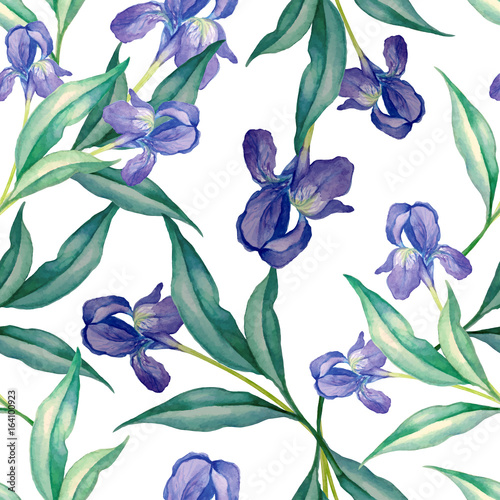 Iris seamless pattern in watercolor style