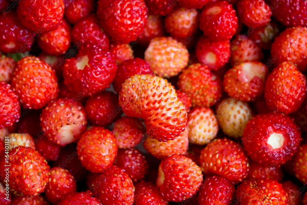 Background the wild strawberry close. Vitamin useful tasty berries. The gifts of nature to humans.