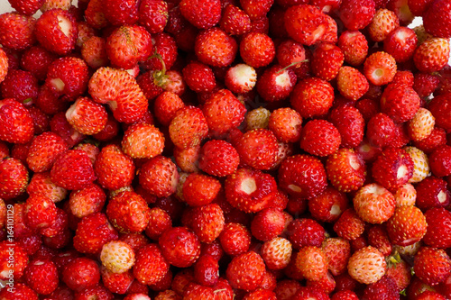 Background wild strawberry collection. Vitamin useful tasty berries. The gifts of nature to humans.