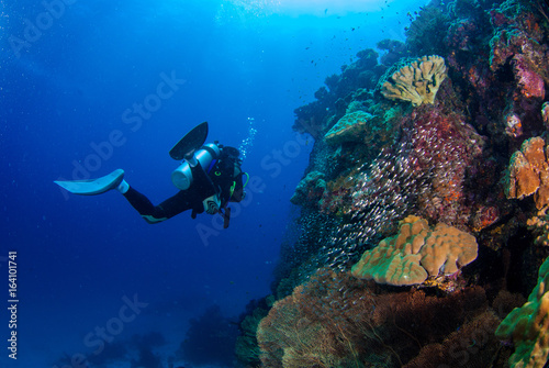 Underwater divers with coral reefs with fish  Similan  Andaman Sea  Thailand
