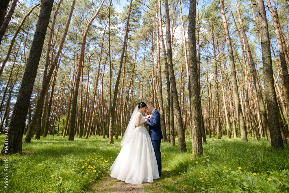 bride and groom hugging at the wedding in nature. bride and groom hugging at the wedding in nature.