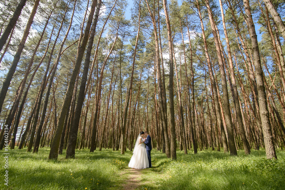 bride and groom kissing at the wedding in nature. bride and groom kissing at the wedding in nature.