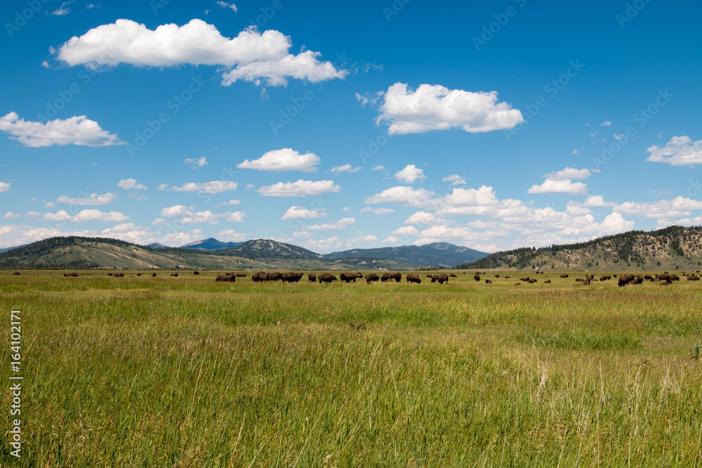 Grand Teton National Park, Wyoming, United States