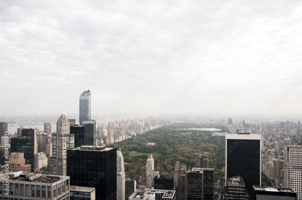 Fototapeta premium Cloudy centreal park and Manhattan skyline, New York
