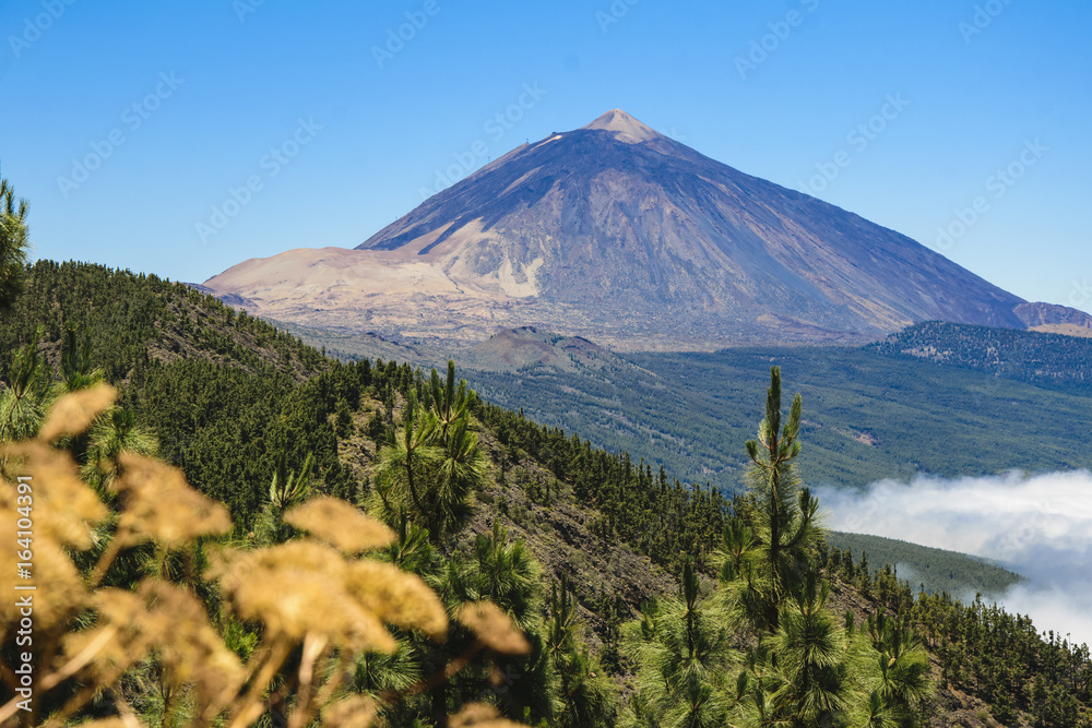 Fototapeta premium Pico del Teide 