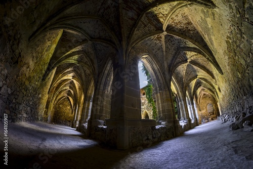 Gothic ruin  monastery Rosa coeli  Dolni Kounice  Czech Republic