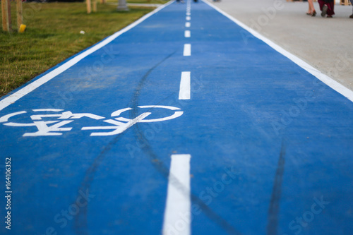 Blue bicycle lane with sign and green grass on the side and sidewalk. Closeup