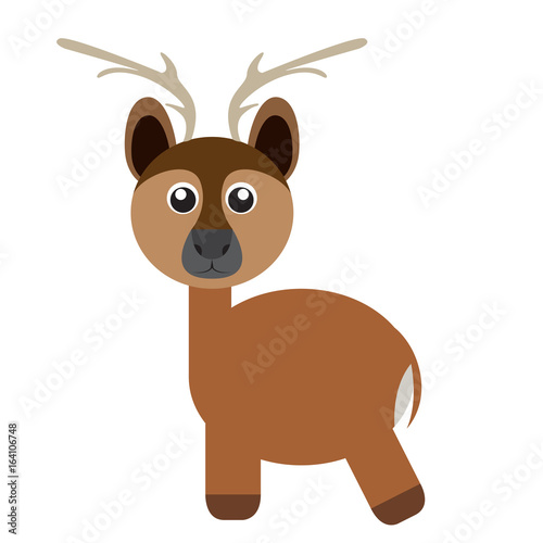 Isolated cute deer on a white background  Vector illustration