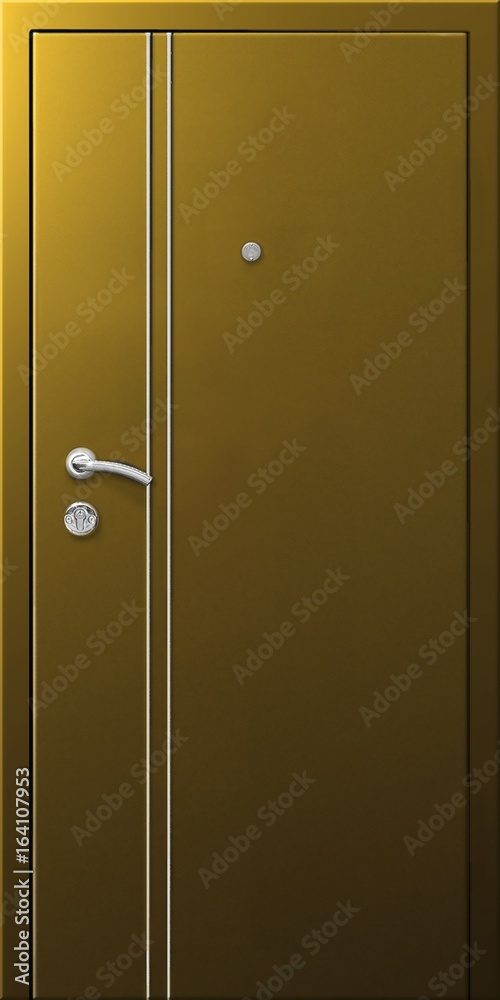 Fototapeta premium Entrance door (metal door)