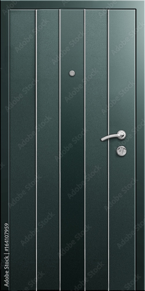 Fototapeta premium Entrance door (metal door)